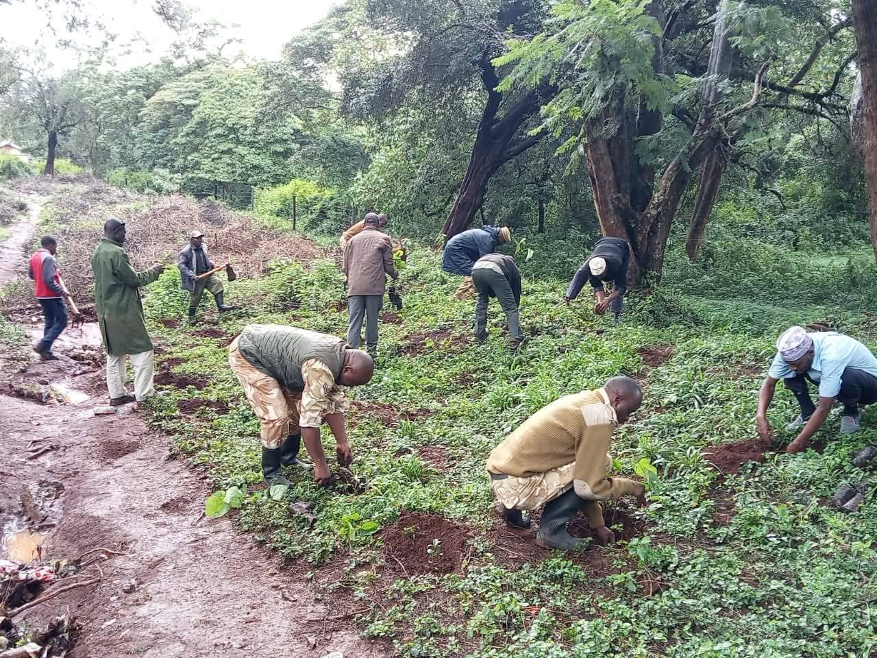 Marsabit National Park Drives Kenya’s Green Legacy Through Tree Planting Initiative